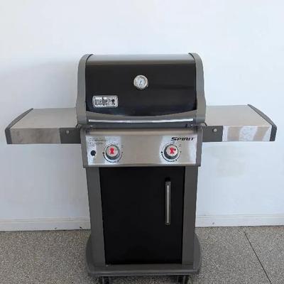 Weber Gas Grill