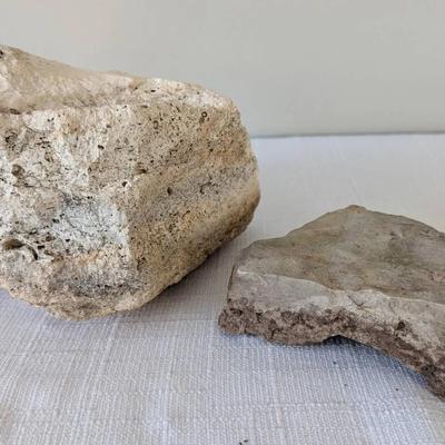 Fossiliferous Limestone and Chert