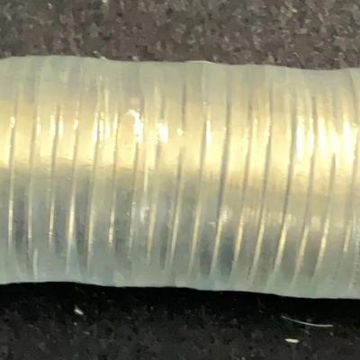 Roll Buffalo Nickels Uncirculated – 2005 