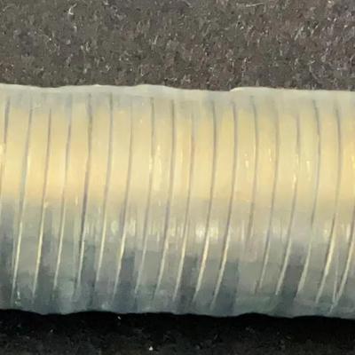 Roll Buffalo Nickels Uncirculated – 2005 