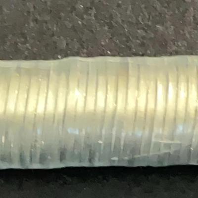 Roll Buffalo Nickels Uncirculated – 2005 