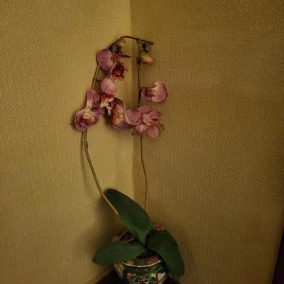 Sale Photo Thumbnail #108