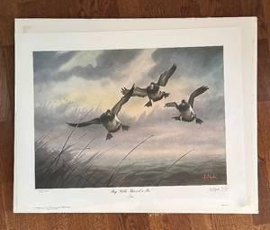 Sale Photo Thumbnail #27