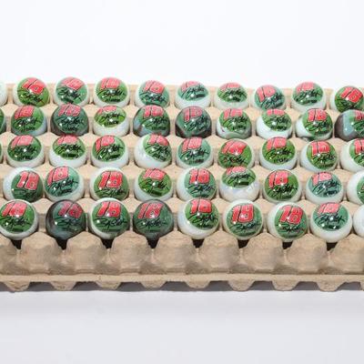 Sale Photo Thumbnail #59