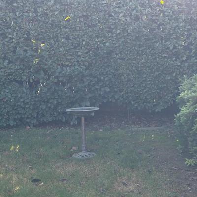 Sale Photo Thumbnail #5