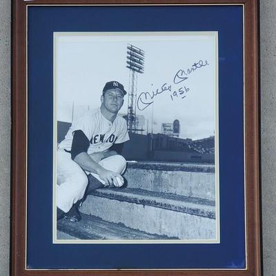 Sale Photo Thumbnail #22