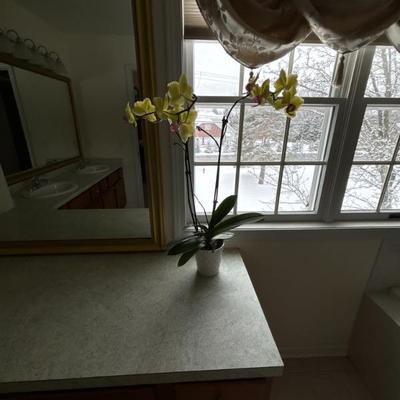 Sale Photo Thumbnail #75