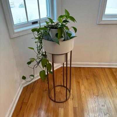 Sale Photo Thumbnail #15