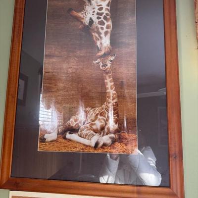 Sale Photo Thumbnail #174