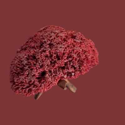 Sale Photo Thumbnail #56