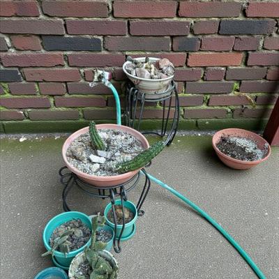 Sale Photo Thumbnail #52