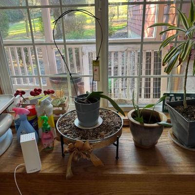 Sale Photo Thumbnail #56