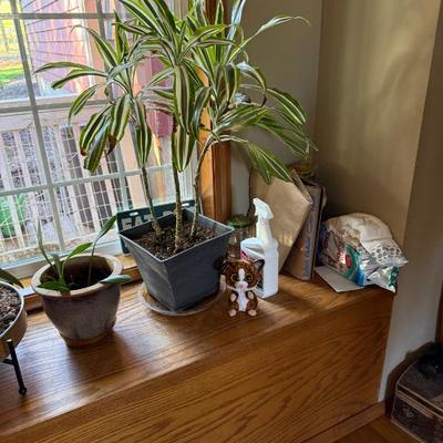 Sale Photo Thumbnail #57