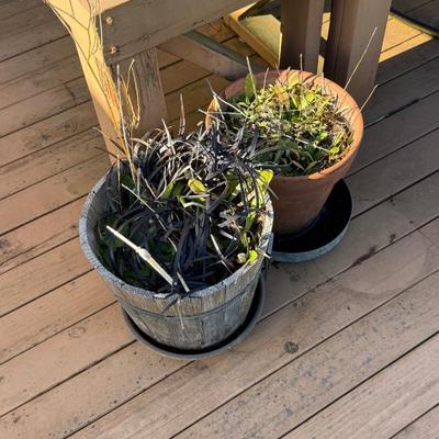 Sale Photo Thumbnail #124