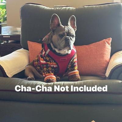 Sale Photo Thumbnail #41