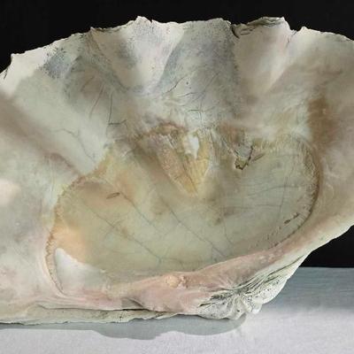 Sale Photo Thumbnail #237