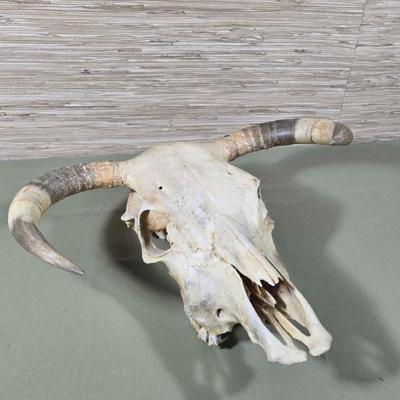 Sale Photo Thumbnail #361