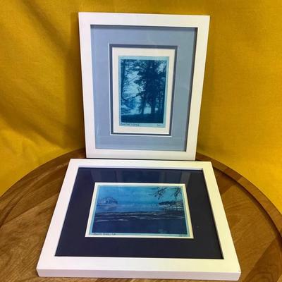 Two framed prints of nature scenes