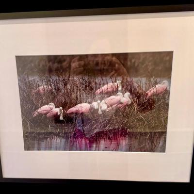 Sale Photo Thumbnail #103