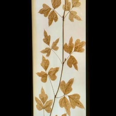 Sale Photo Thumbnail #127