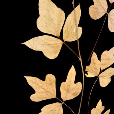 Sale Photo Thumbnail #126