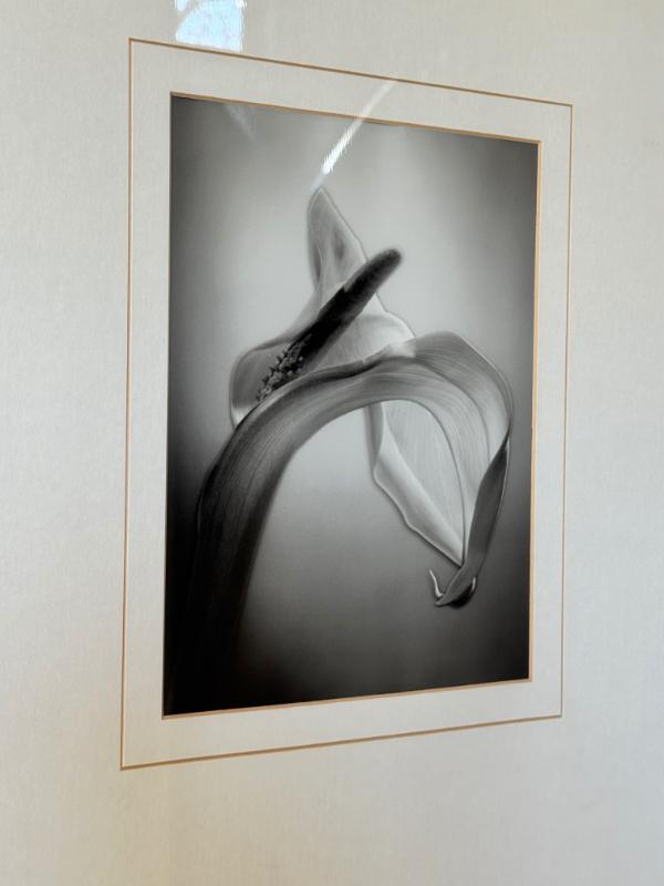 Sale Photo Thumbnail #49