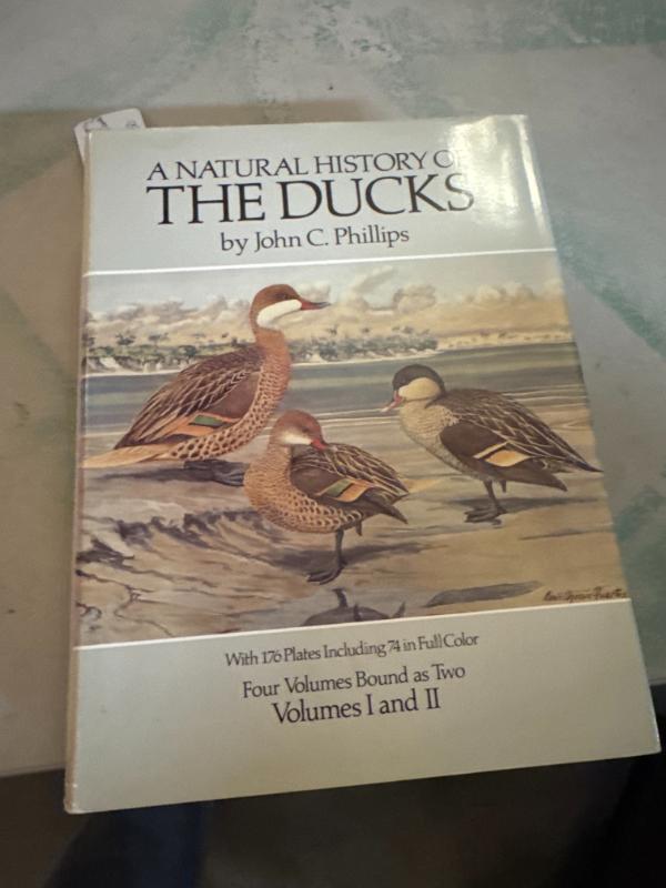 Sale Photo Thumbnail #17