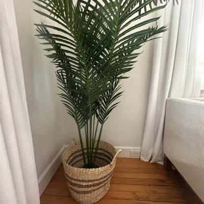 Sale Photo Thumbnail #8: Artificial Palm Plant Faux in woven basket $40