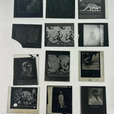 Vintage Glass Slides Unframed (12) Geology & Dinosaurs