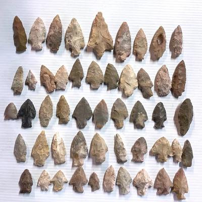 Projectile Points, Late Archaic Age:4000-1200 BC (50)