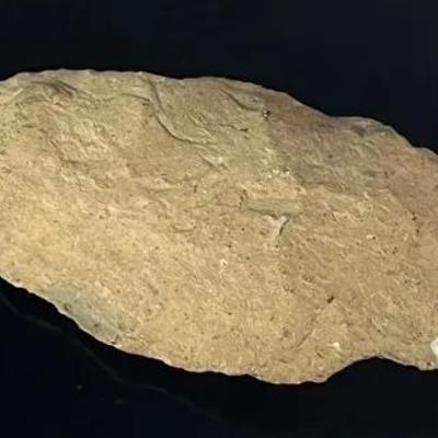 Upper Middle Pleistocene Era Hand Ax