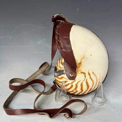 Nautilus Shell Repurposed as a Pouch