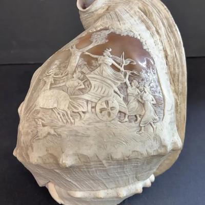 Neoclassical Cameo Carved Conch Shell