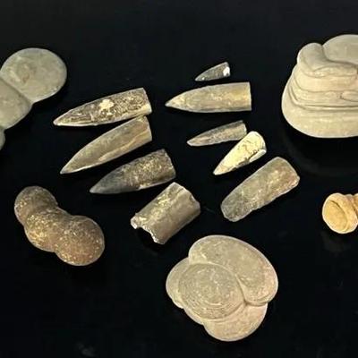 Fossilized Concretions and Belemnoids