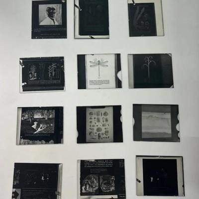 Vintage Glass Slides Unframed (12) Science