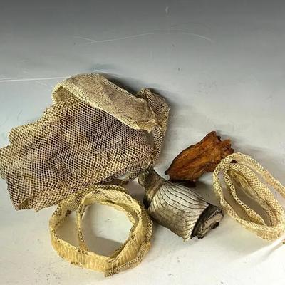 Snake Sheds with Timber Rattlesnake, Copperhead and Cobra 