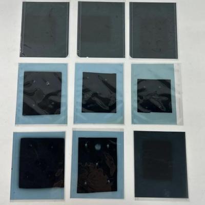 Vintage X-Rays Of Shells (9)