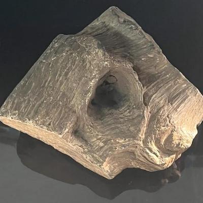 Petrified Wood Specimen 