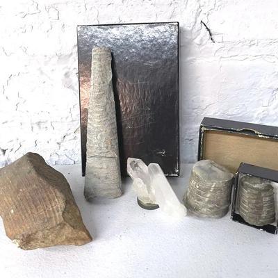 Cephalopod Fossils With Quartz Cluster And Shell Fossil