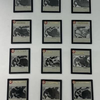 Vintage Glass Slides With Metal Frame (12) Lakes & Terrain