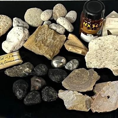 Fossils, Pumice Stones, Meteorite Testers
