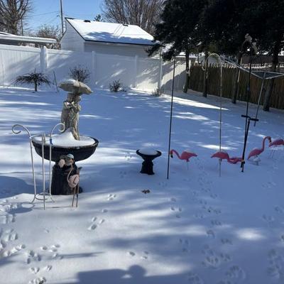 Sale Photo Thumbnail #35