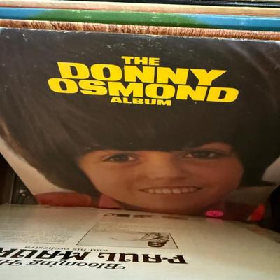 Sale Photo Thumbnail #55