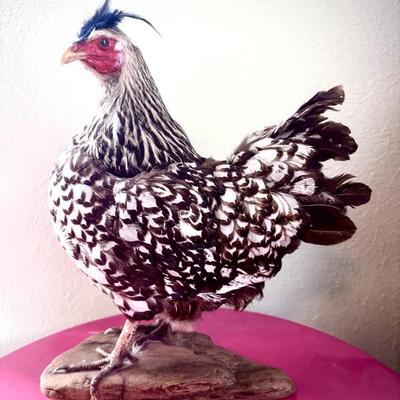 Sale Photo Thumbnail #31