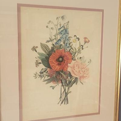 Art Print by French botanical artist Jean Louis Prevost 