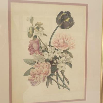 Art Print by French botanical artist Jean Louis Prevost 