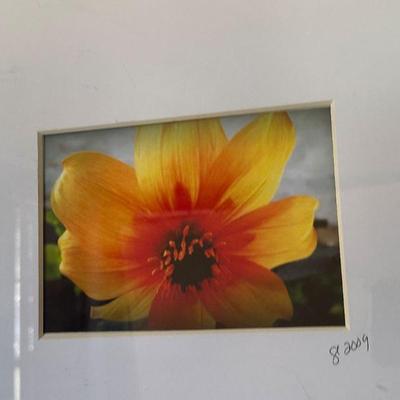 Sale Photo Thumbnail #18