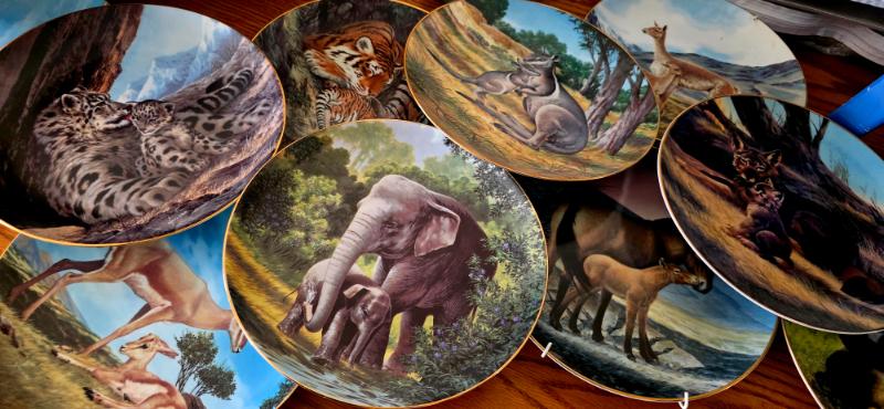 Sale Photo Thumbnail #36