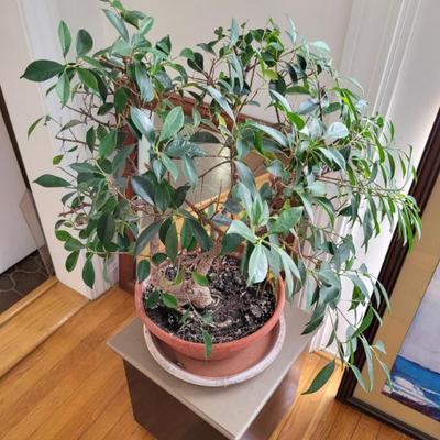 Sale Photo Thumbnail #135