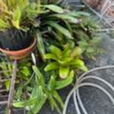 Sale Photo Thumbnail #152